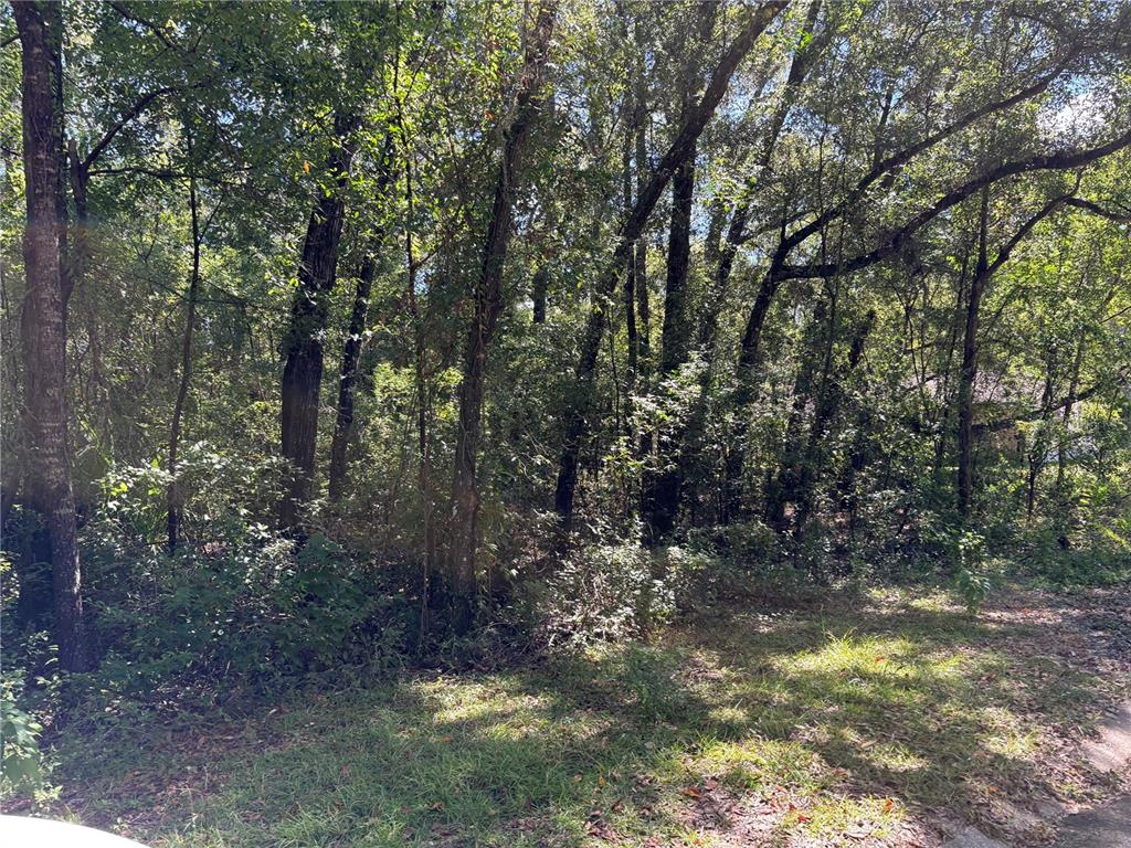 A wooded lot with dense trees and undergrowth viewed from a grassy foreground — 1222 CLOVER TERRACE, INVERNESS, FL