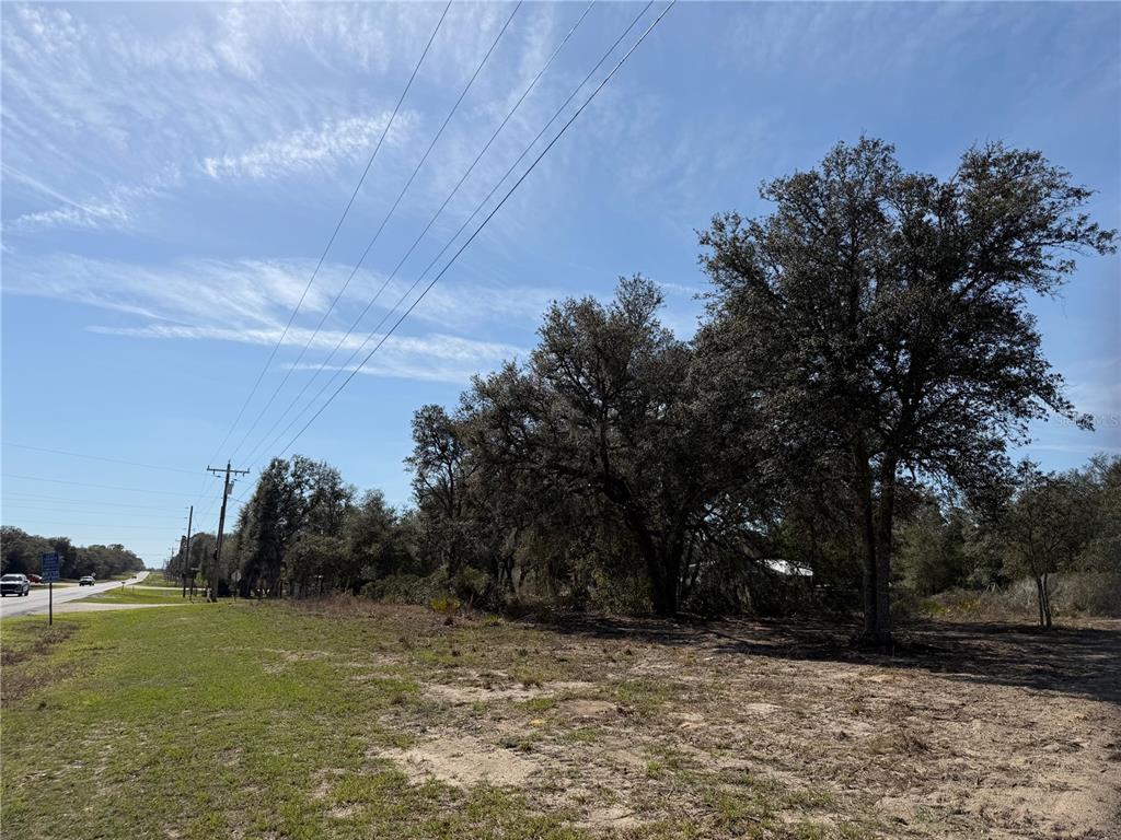 A vacant, grassy lot with mature trees and power lines along a roadside — TBD NE 106TH TERRACE, BRONSON, FL