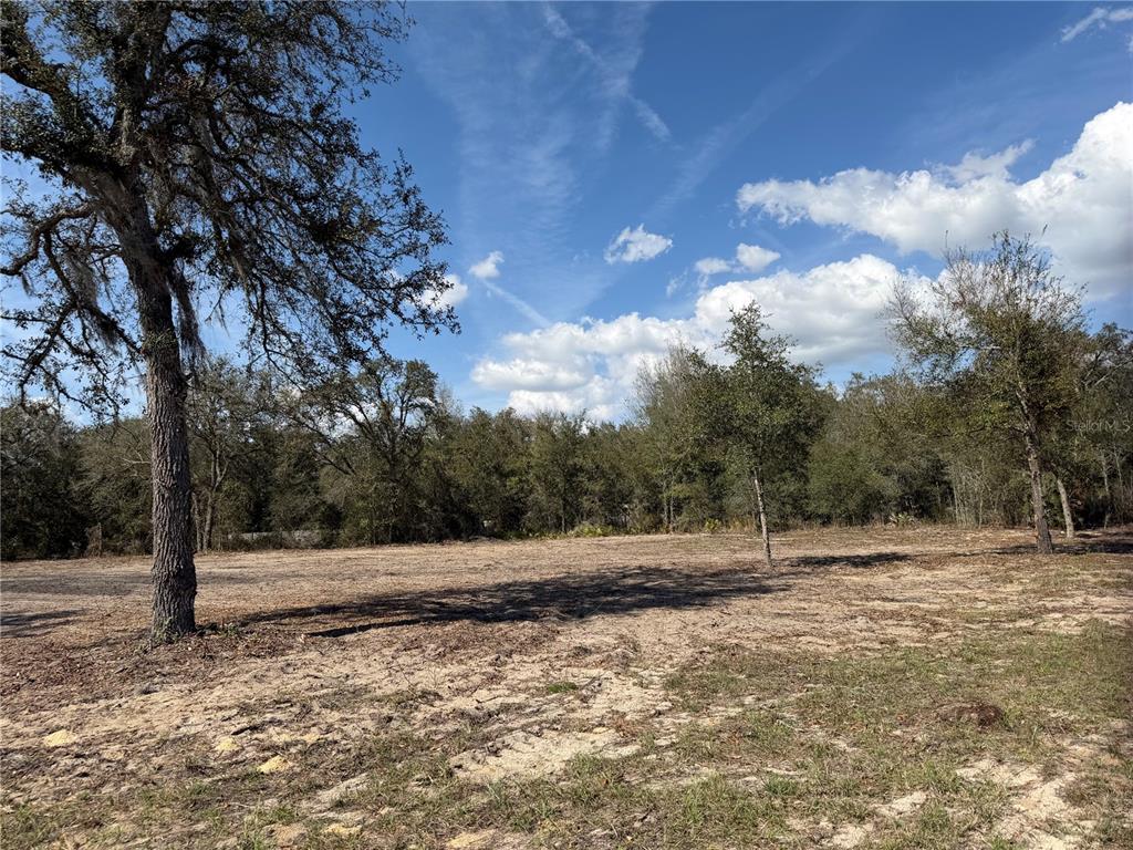 A cleared, sandy lot with scattered trees under a blue sky with white clouds — TBD NE 106TH TERRACE, BRONSON, FL