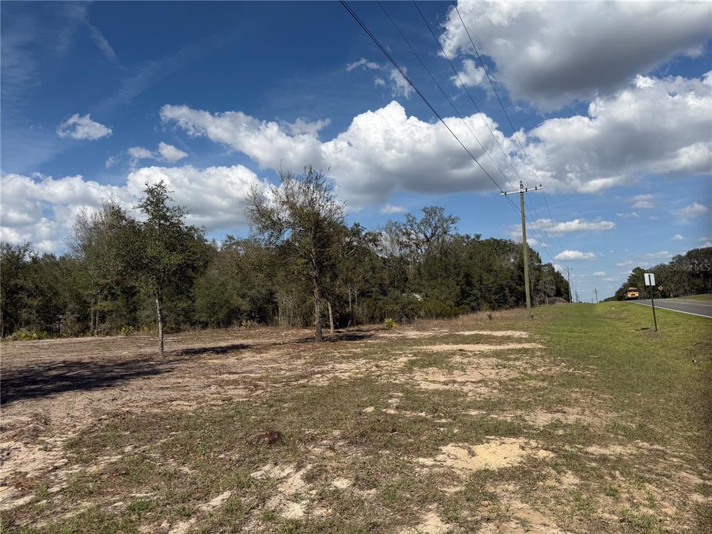 A vacant, grassy lot with scattered trees borders a paved road under a cloudy sky — TBD NE 106TH TERRACE, BRONSON, FL