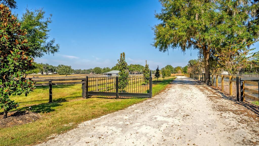 A gravel driveway leads to a gated entrance on a grassy property with mature trees — 15305 NW 112TH PLACE ROAD, MORRISTON, FL