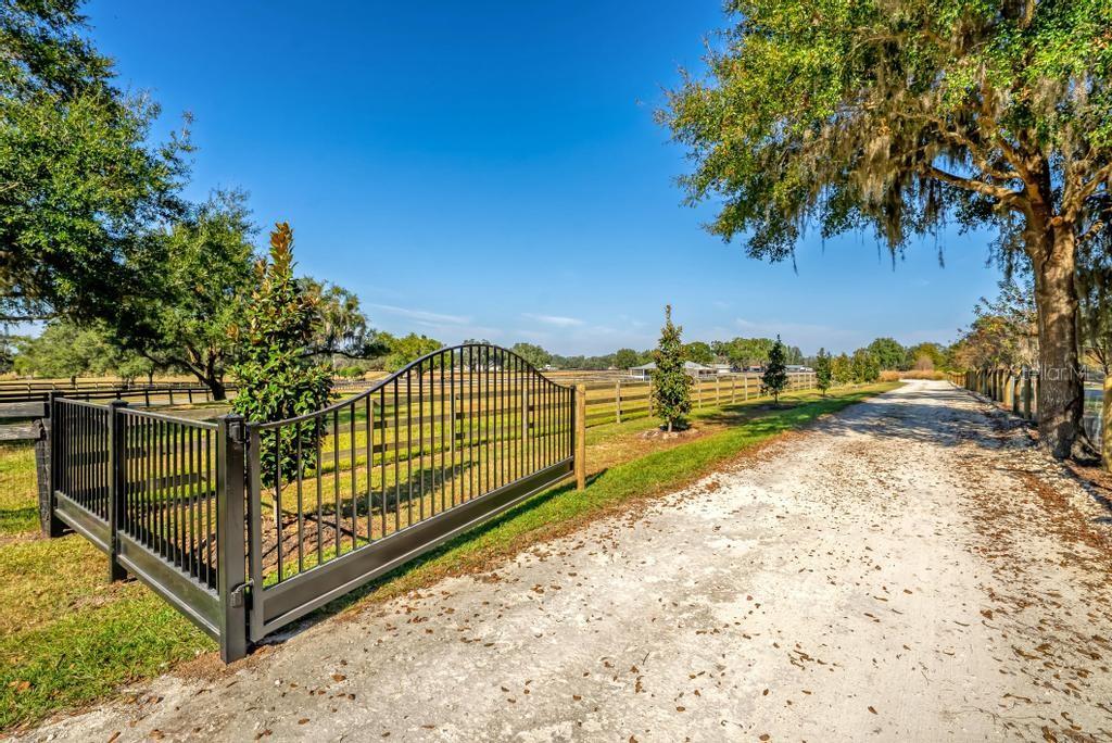 A black metal gate opens onto a long dirt driveway lined with trees and fencing — 15305 NW 112TH PLACE ROAD, MORRISTON, FL