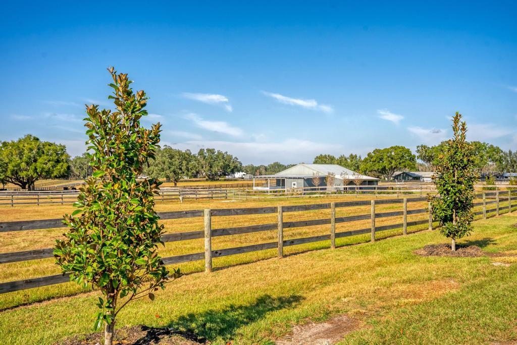 A wooden fence encloses a grassy field with two young trees and a distant barn — 15305 NW 112TH PLACE ROAD, MORRISTON, FL