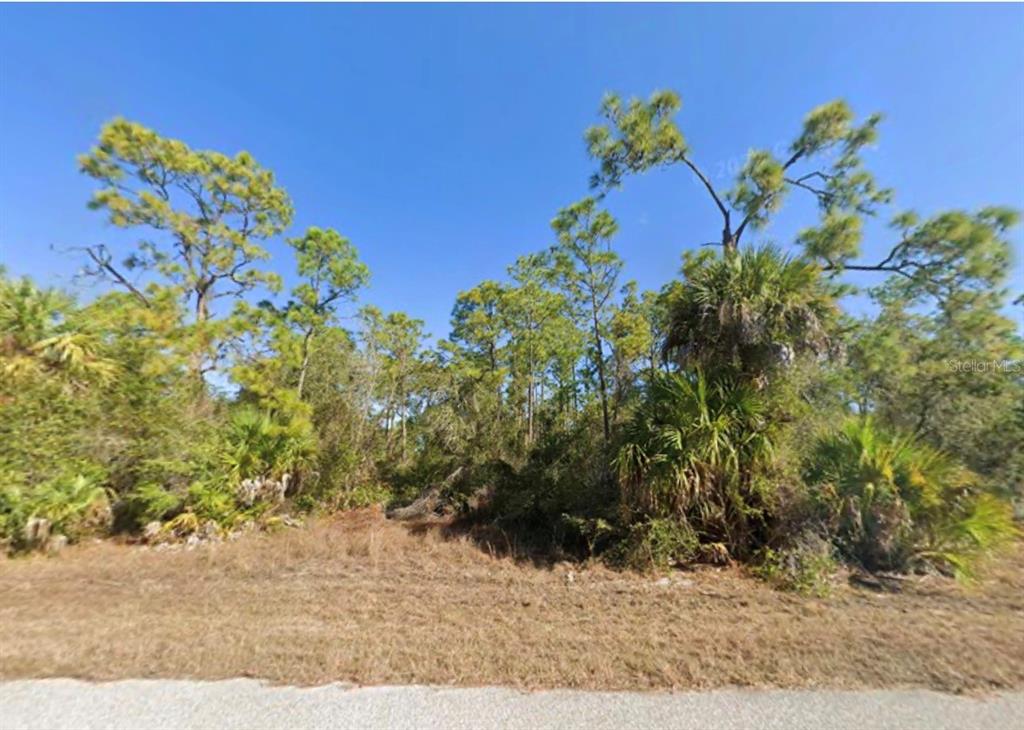 A vacant, wooded lot with pine trees and palmettos viewed from a paved road — 17083 CARSON AVENUE, PORT CHARLOTTE, FL