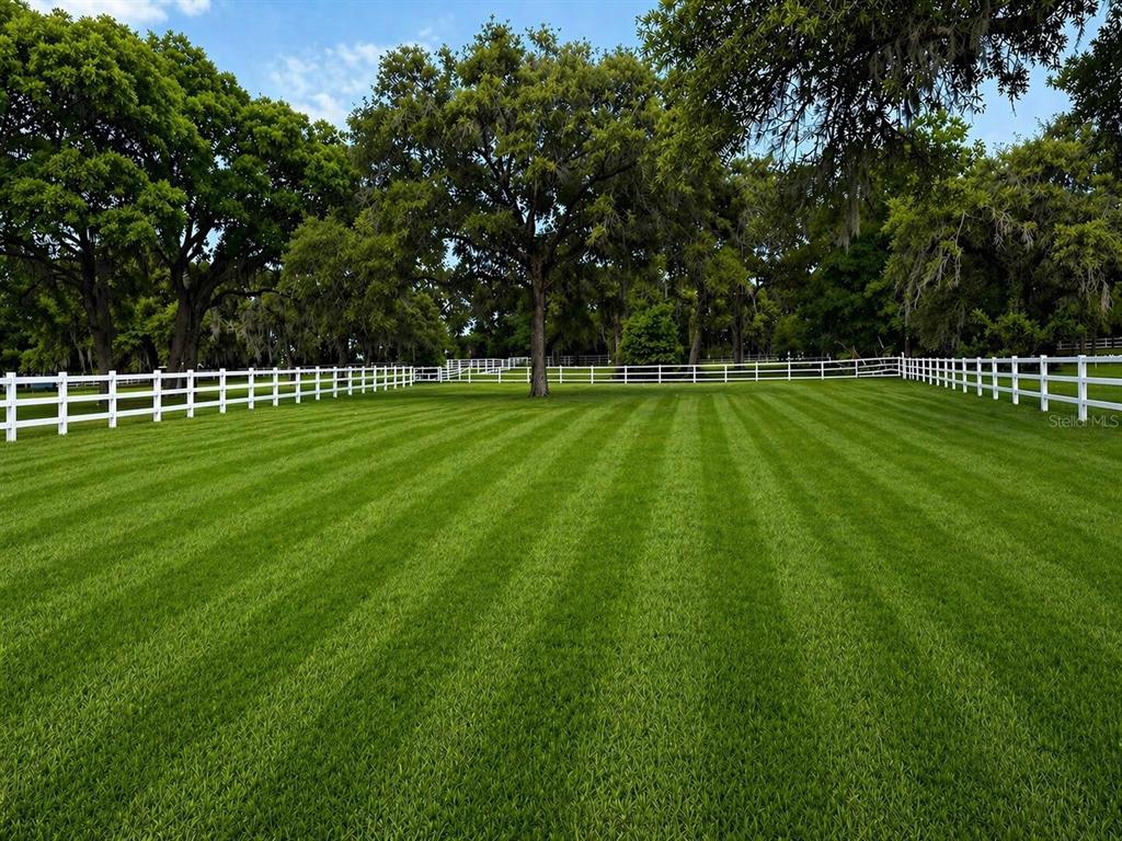 A large, manicured green lawn is enclosed by a white post-and-rail fence under trees — 33015 SAHARA COURT, SORRENTO, FL