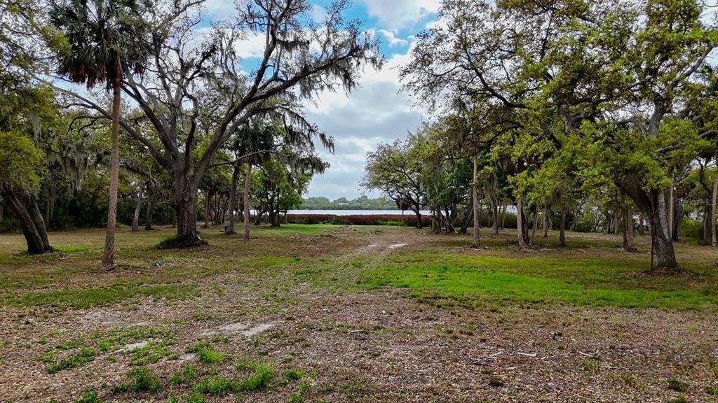 A grassy, tree-lined lot leads toward a view of a body of water — 7013 & 7015 RIVERVIEW DRIVE, RIVERVIEW, FL