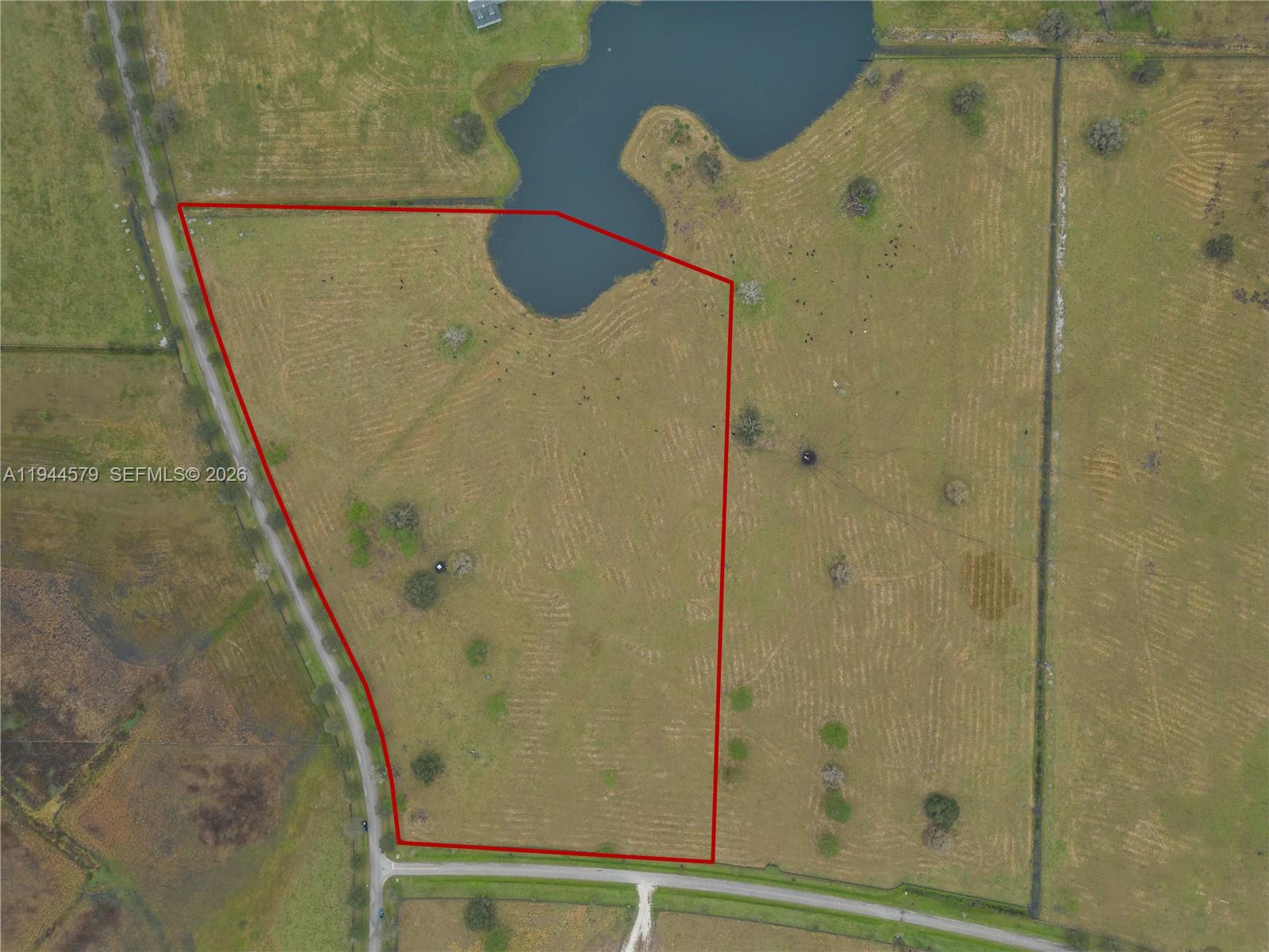 This aerial view shows a fenced plot of land featuring a pond and trees — 25750 SW Jockeys Run, Okeechobee FL 34974, OKEECHOBEE, FL
