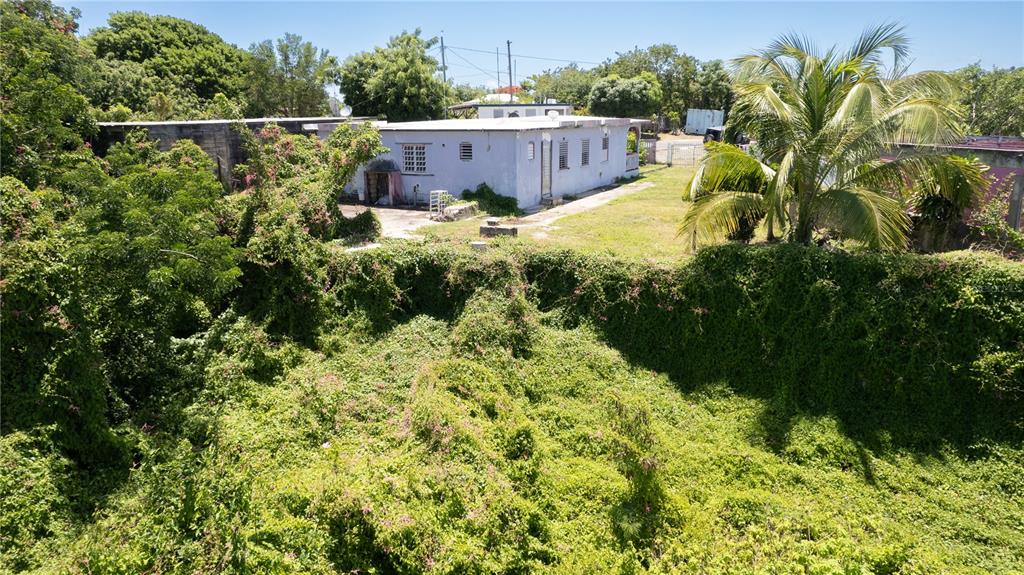 151 LOS CAOBOS, VIEQUES, PR — photo 5 of 25