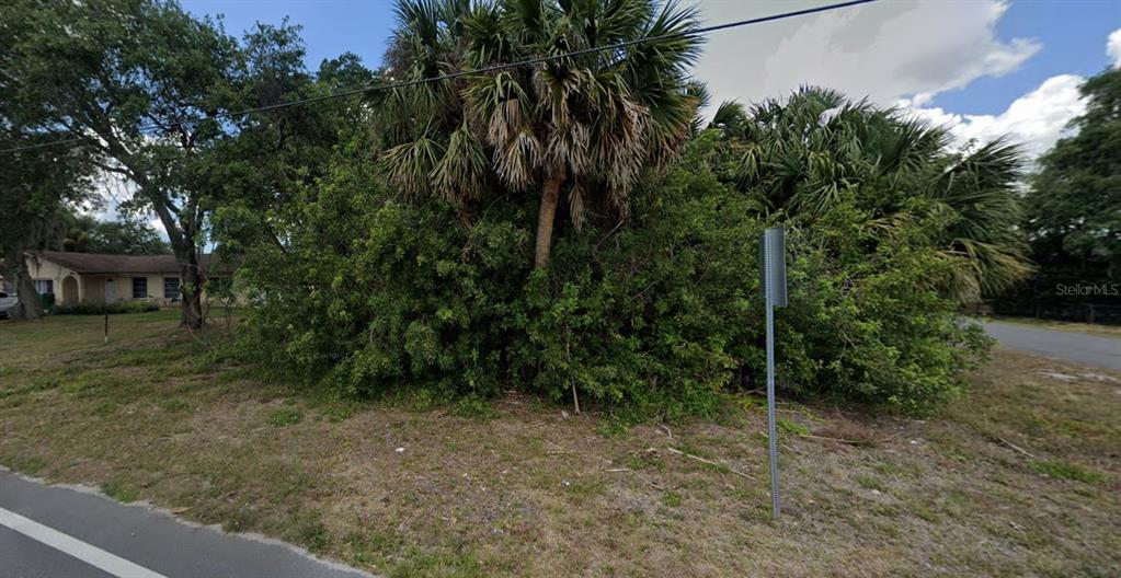 A dense cluster of trees and shrubs sits on a grassy lot near a road — 1427 NOBLE TERRACE, PORT CHARLOTTE, FL