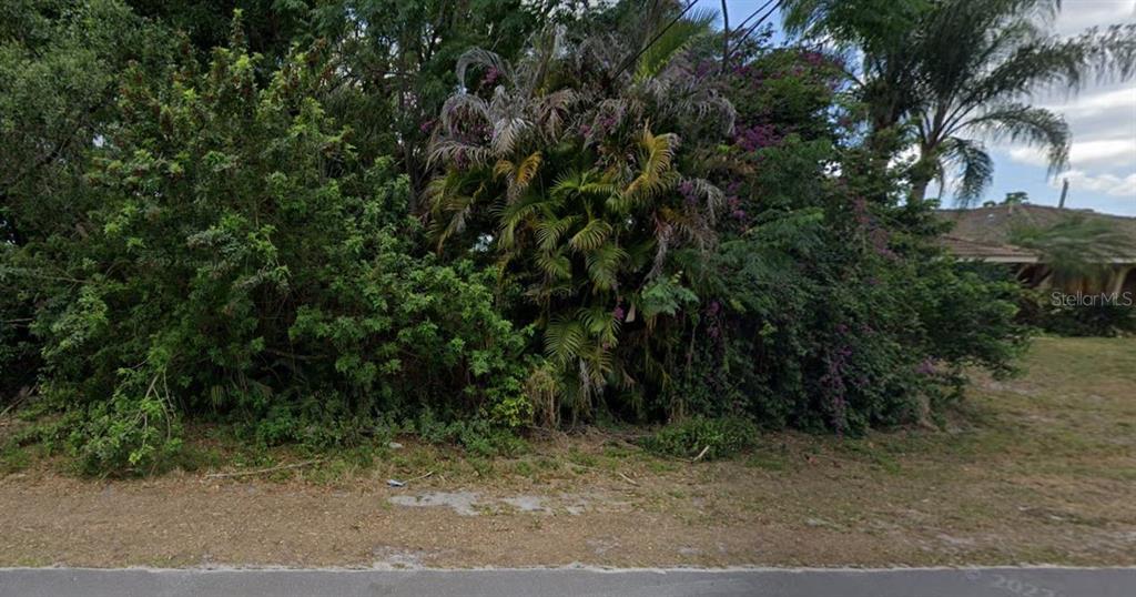 A dense cluster of trees and shrubs grows on a vacant residential lot — 1427 NOBLE TERRACE, PORT CHARLOTTE, FL