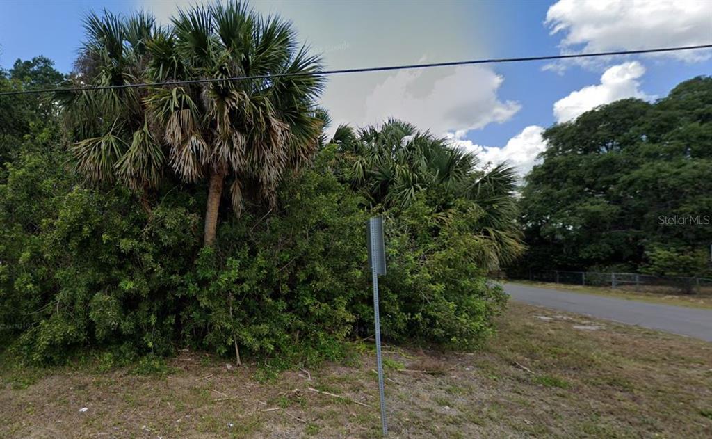 A view of a dense cluster of palm trees and shrubs beside a paved road — 1427 NOBLE TERRACE, PORT CHARLOTTE, FL