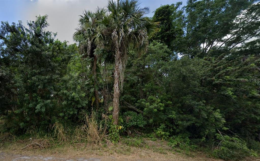A dense, overgrown wooded lot features tall palm trees and thick green vegetation — 1427 NOBLE TERRACE, PORT CHARLOTTE, FL