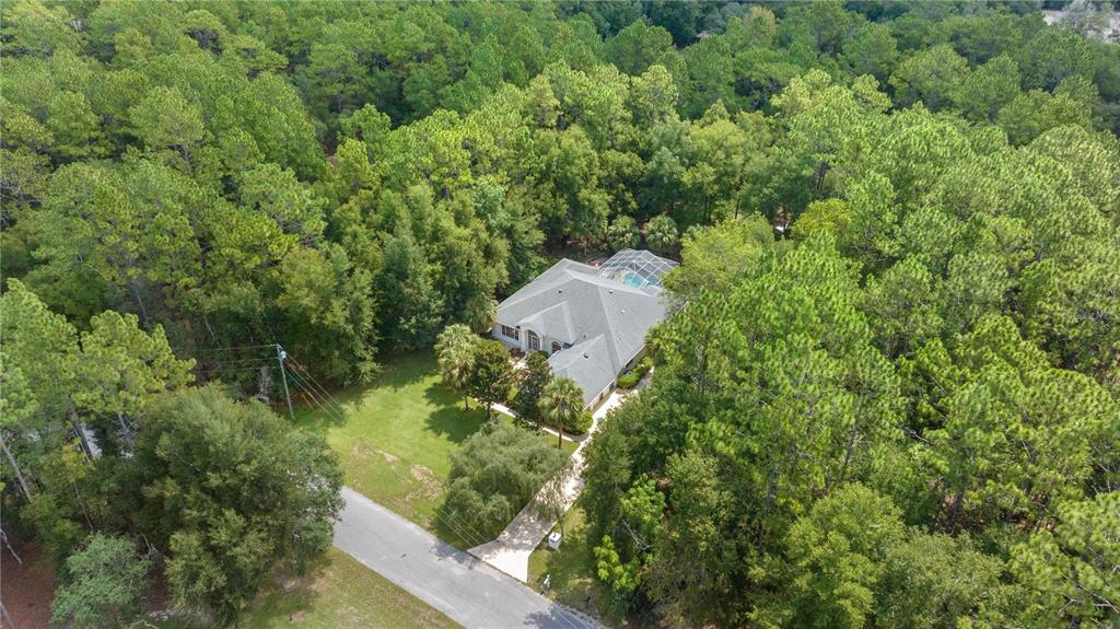 A backyard features a screened-in swimming pool, palm trees, and tiered landscaping — 18293 SW 75TH LOOP, DUNNELLON, FL
