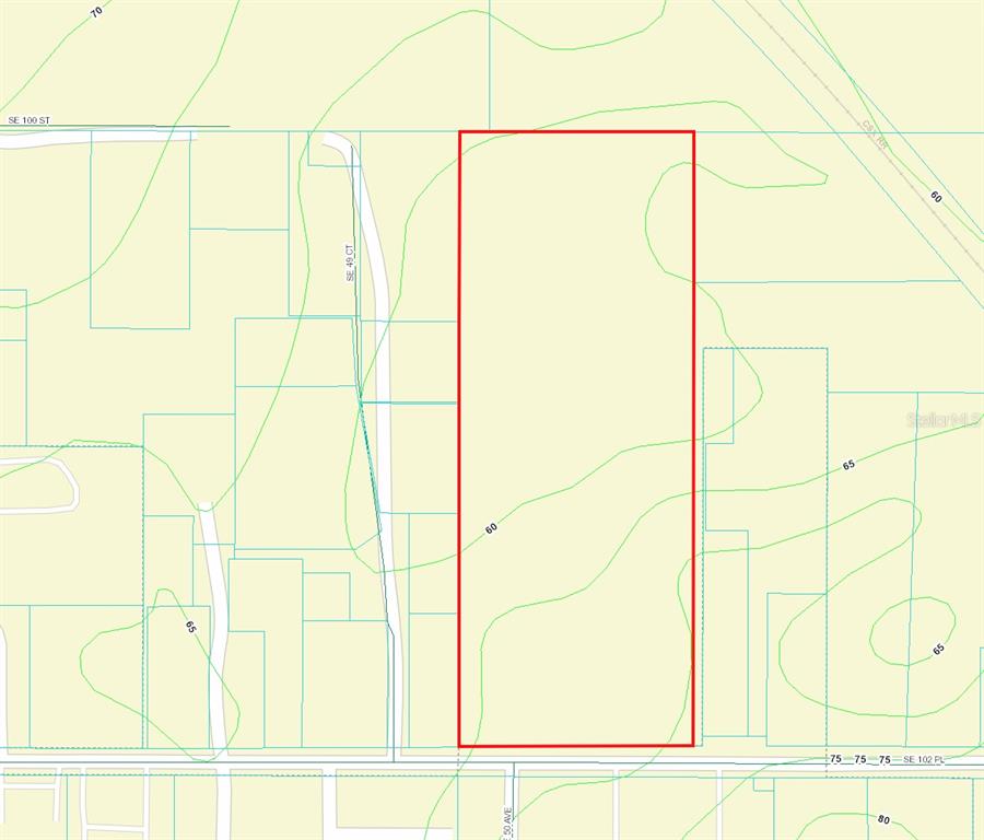 This is a map showing a rectangular parcel of land outlined in red — 00 SE 102 PLACE, BELLEVIEW, FL