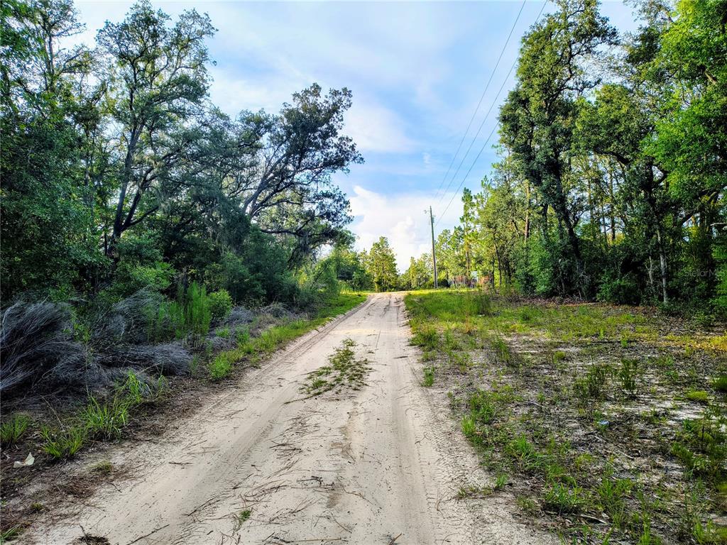 A sandy dirt road leads through a wooded area under a blue sky — 8821 NE 97TH COURT, BRONSON, FL