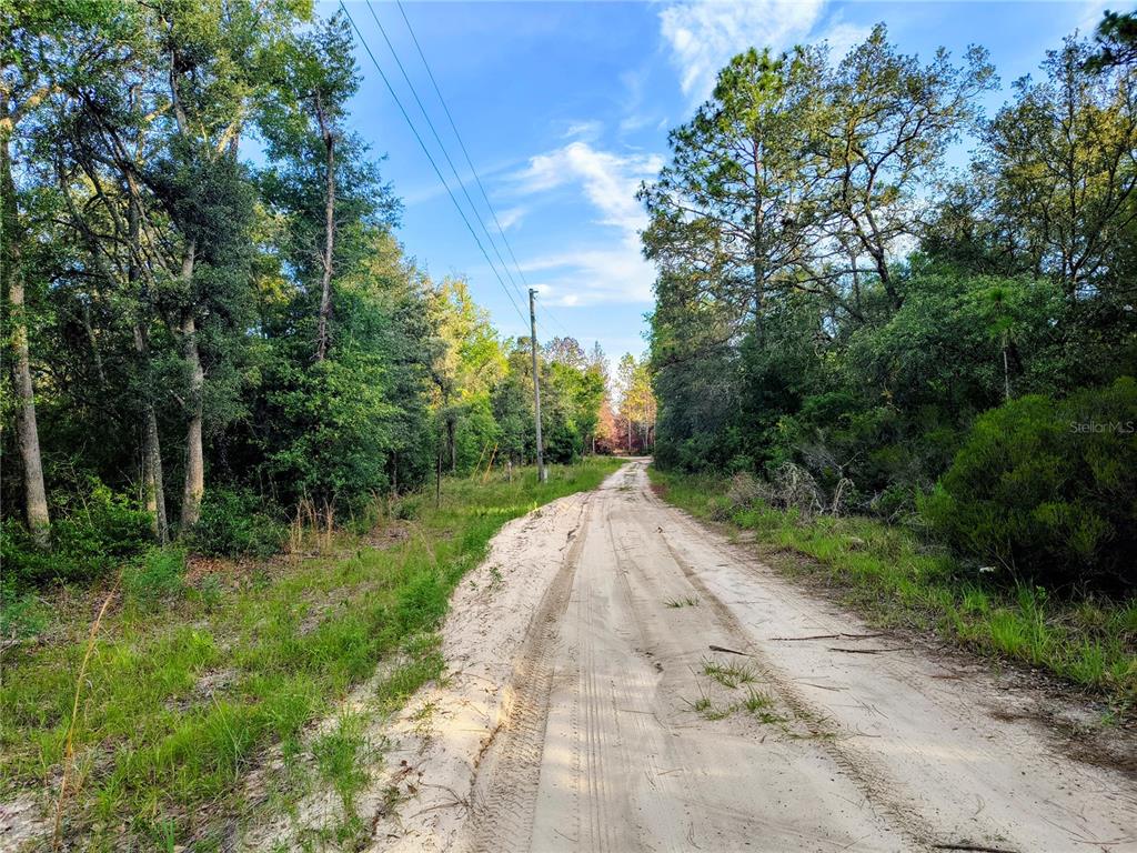 A sandy dirt road stretches through a wooded area under a blue sky — 8821 NE 97TH COURT, BRONSON, FL