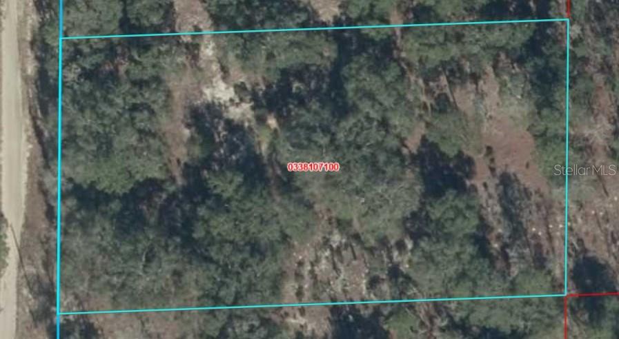 An aerial map view shows a rectangular plot of land covered in trees and vegetation — 8821 NE 97TH COURT, BRONSON, FL