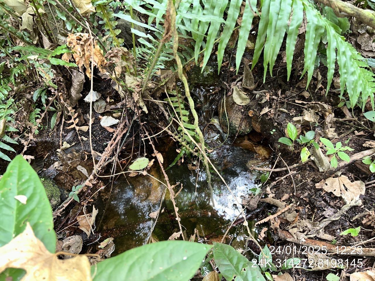 MG — photo 5 of 30