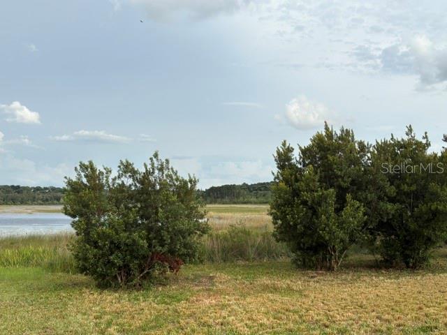 A grassy field with two large bushes overlooks a lake and distant treeline — 13225 PLUM LAKE CIRCLE, MINNEOLA, FL