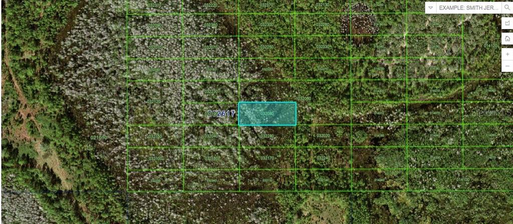 This is a map showing a highlighted rectangular land parcel overlaid on a wooded area — OLD GRADE RD, POLK CITY, FL