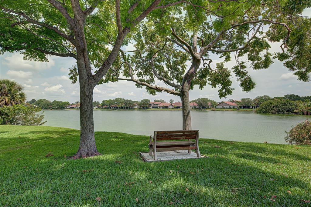 A wooden bench sits on a concrete pad under two large trees overlooking a lake — 3670 EMILY LANE, SARASOTA, FL