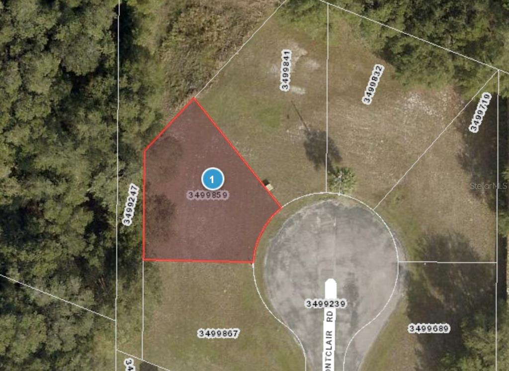 An aerial map shows a highlighted residential lot located on a cul-de-sac — MONTCLAIR ROAD UNIT 21, LEESBURG, FL