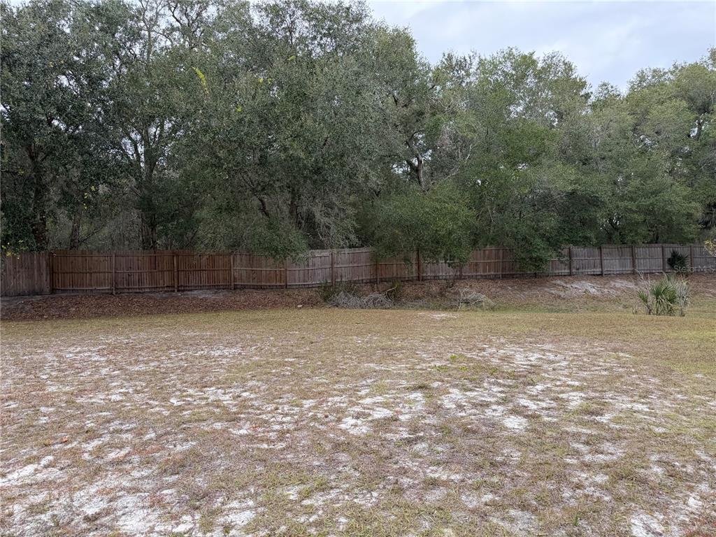 A grassy backyard features a wooden privacy fence backed by a line of mature trees — MONTCLAIR ROAD UNIT 21, LEESBURG, FL