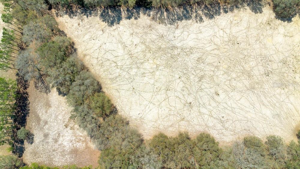 An aerial view shows a large, sandy clearing surrounded by a dense line of trees — 4649 MEADOWLAND DRIVE, MOUNT DORA, FL