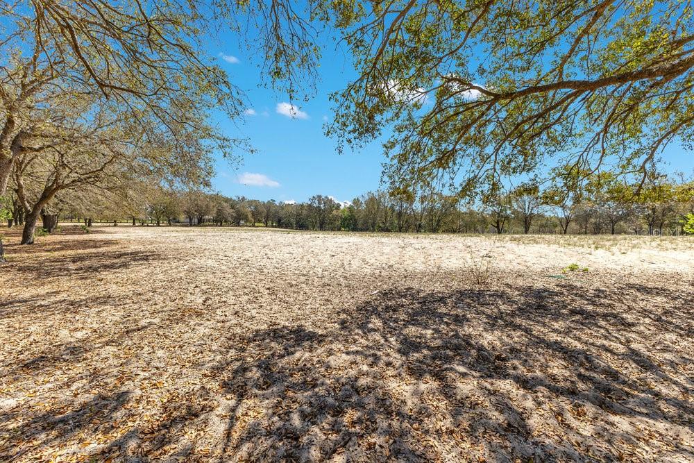 A large, sandy, open lot is surrounded by mature trees under a clear blue sky — 4649 MEADOWLAND DRIVE, MOUNT DORA, FL