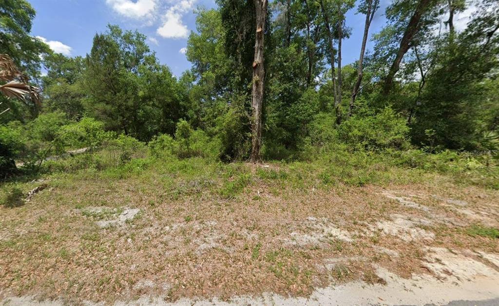 A vacant, wooded lot with sandy ground and dense green trees under a blue sky — 9111 CR 622, BUSHNELL, FL