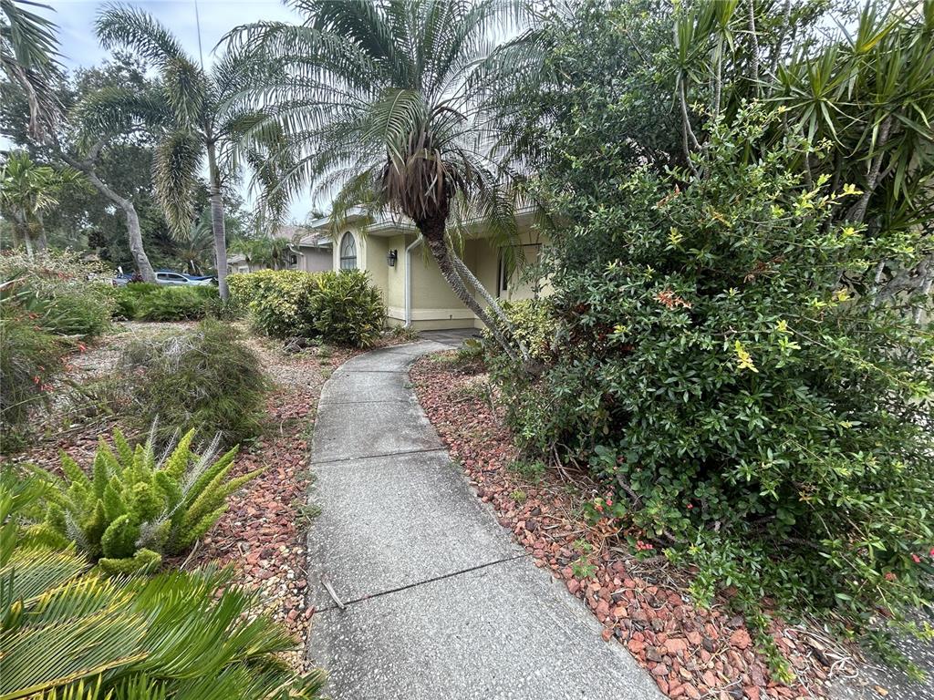 A concrete walkway leads to the front entrance of a house surrounded by lush landscaping — 1612 GULF BEACH BOULEVARD, TARPON SPRINGS, FL