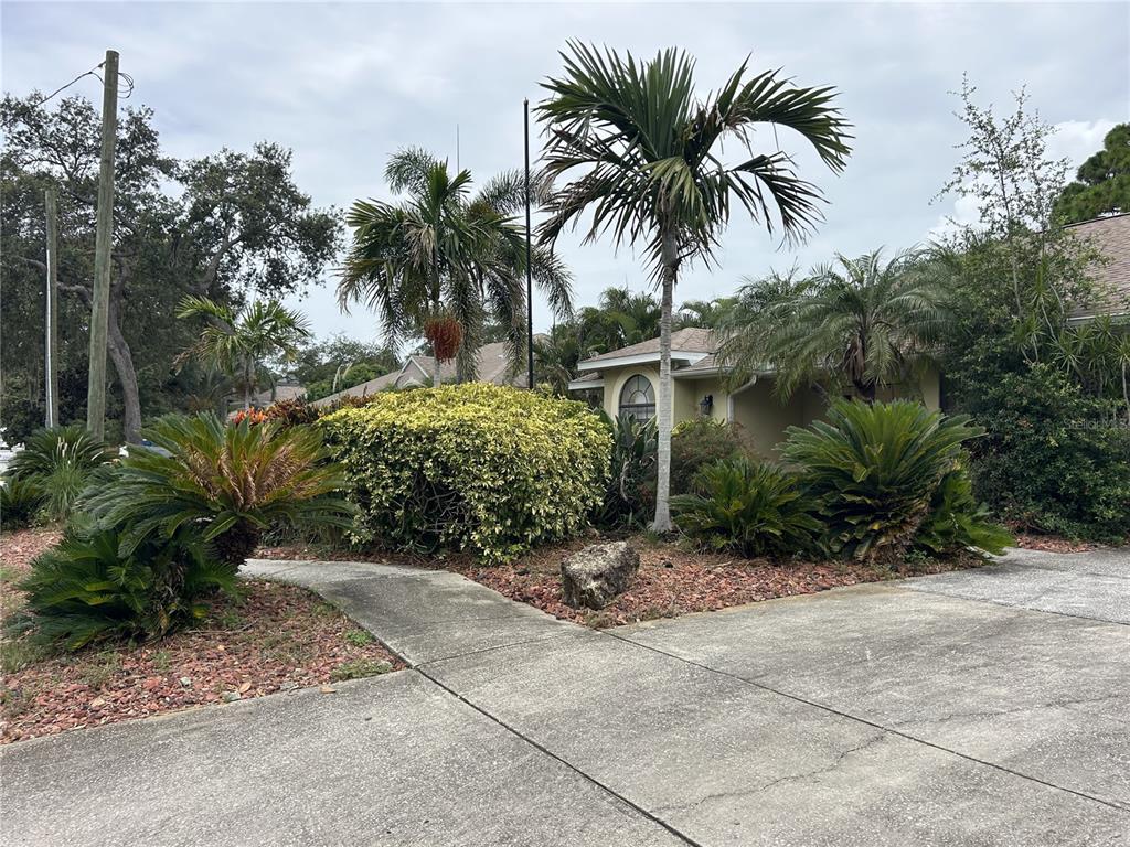 A concrete driveway leads to a house partially obscured by palm trees and landscaping — 1612 GULF BEACH BOULEVARD, TARPON SPRINGS, FL
