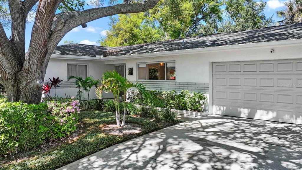 A white single-story house features a gray garage door, a large tree, and landscaping — 3723 ORCHARD GROVE LANE, LARGO, FL