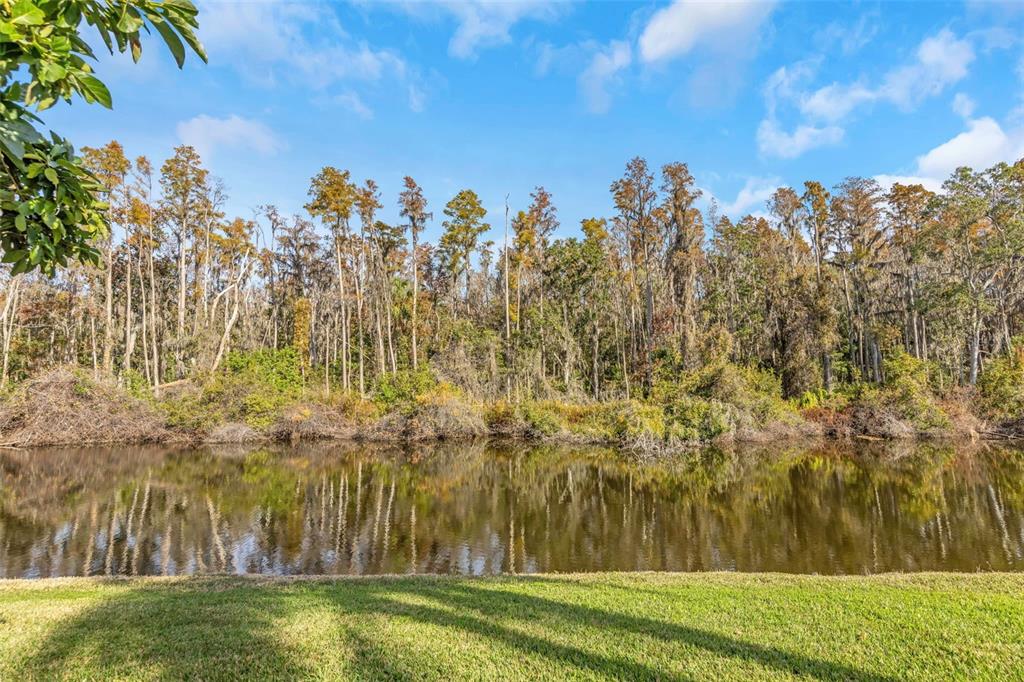A grassy lawn borders a calm pond backed by a dense forest of tall trees — 2024 HEATHFIELD CIRCLE UNIT 155, SUN CITY CENTER, FL