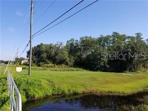 A grassy lot with a small pond in the foreground and trees in the background — 204 RONTUNDA DRIVE, KISSIMMEE, FL