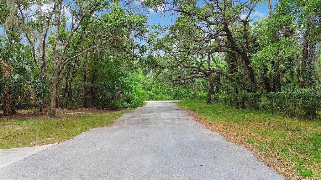 A paved road leads through a wooded area with large, moss-covered oak trees — 5018 N ANDRI DRIVE, CRYSTAL RIVER, FL