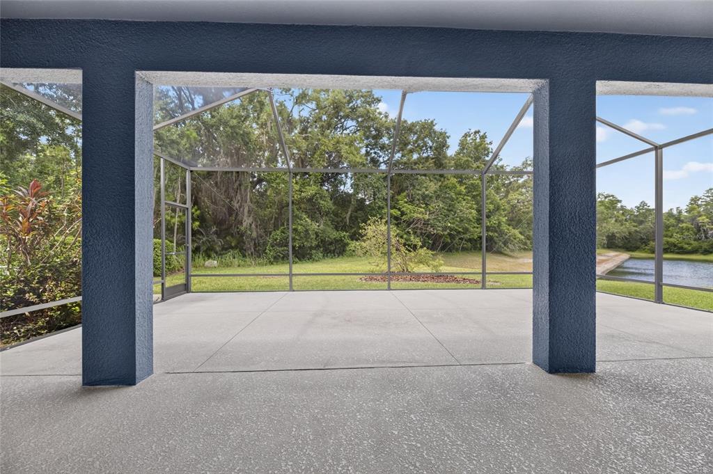 A covered concrete patio features a screened-in enclosure overlooking a grassy yard and a pond — 3506 WICKET FIELD ROAD, LUTZ, FL