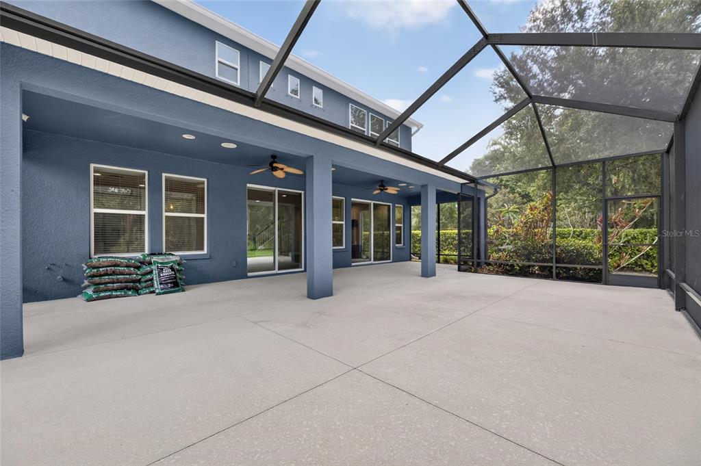 A covered concrete patio features a screened enclosure, ceiling fans, and blue exterior walls — 3506 WICKET FIELD ROAD, LUTZ, FL