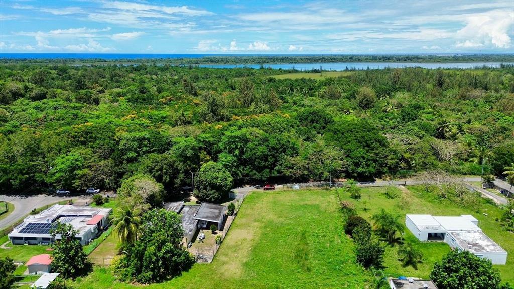 An aerial view shows a grassy lot situated between two houses near a dense forest — BO COTO NORTE, SECTOR GUAYANEY, MANATI, MANATI, PR