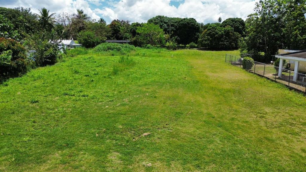 An elevated view shows a large, grassy, open lot bordered by trees and a fence — BO COTO NORTE, SECTOR GUAYANEY, MANATI, MANATI, PR