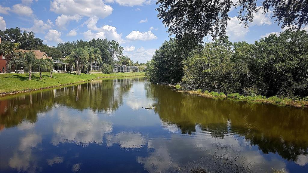 A view of a pond bordered by green lawns, trees, and residential houses — 34826 CHELMSFORD LANE, ZEPHYRHILLS, FL