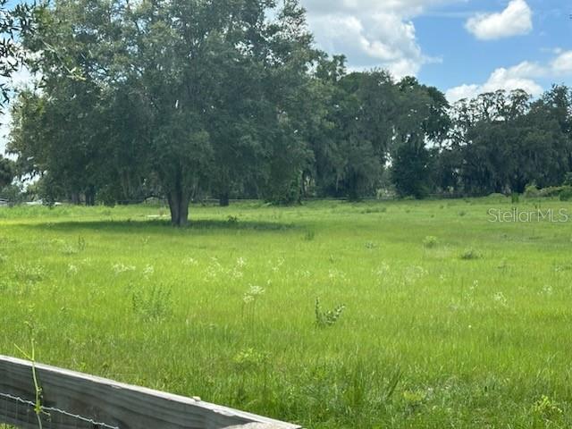 A grassy field with scattered trees under a blue sky with white clouds — 14854 NE JACKSONVILLE ROAD, CITRA, FL