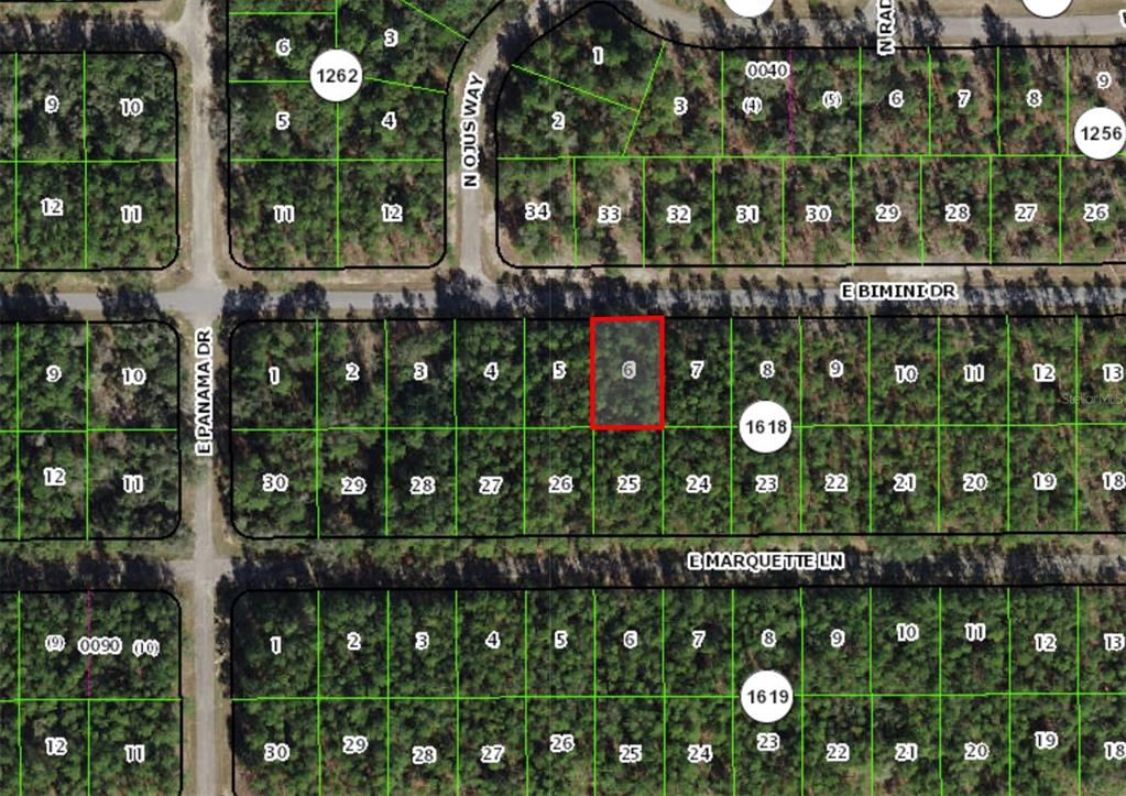 This is a map showing a rectangular lot highlighted in red within a residential subdivision — 546 E BIMINI DRIVE, DUNNELLON, FL
