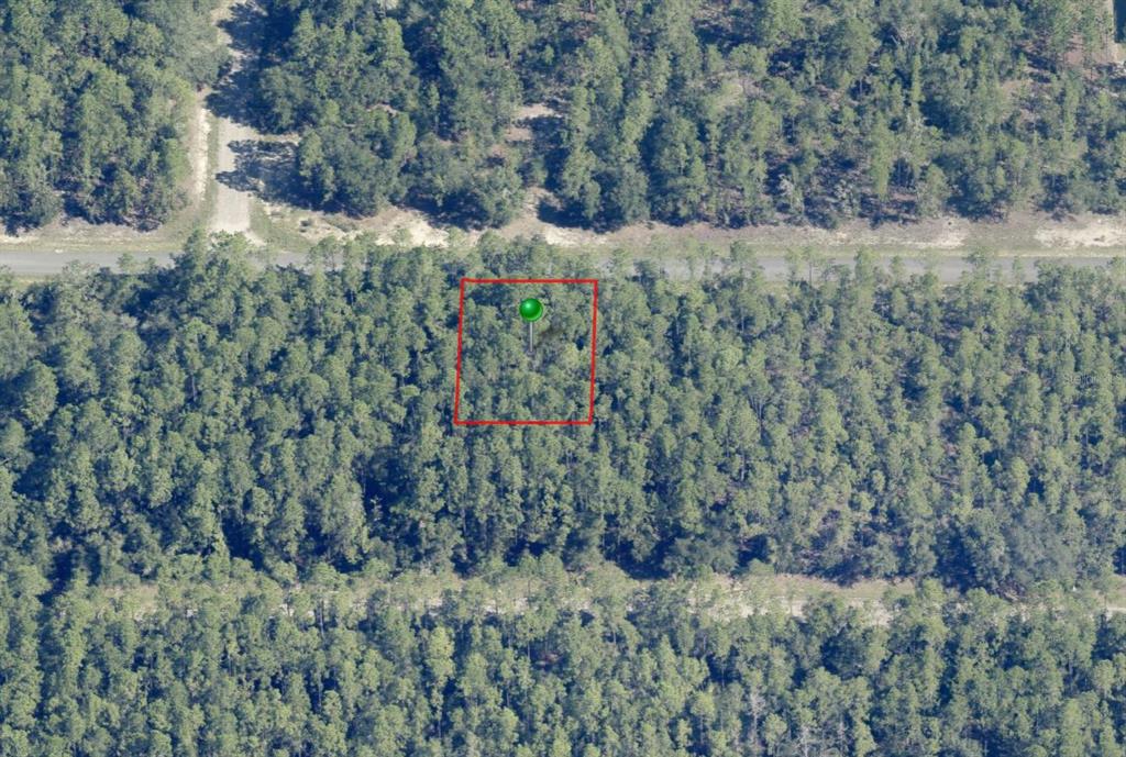 An aerial view shows a rectangular plot of land outlined in red within a forest — 546 E BIMINI DRIVE, DUNNELLON, FL