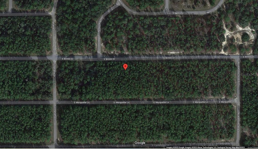 This is a satellite map view of a wooded, undeveloped rectangular lot — 546 E BIMINI DRIVE, DUNNELLON, FL