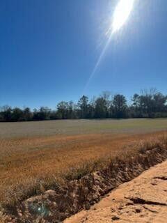 A wide, open field under a bright sun with a dirt trench in the foreground — 5123 Elmore Road, FL 32446, FL