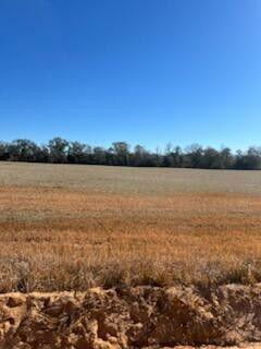 A wide, flat agricultural field stretches toward a distant tree line under a clear sky — 5123 Elmore Road, FL 32446, FL