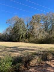 A grassy field bordered by a dense line of trees under a clear blue sky — 5123 Elmore Road, FL 32446, FL