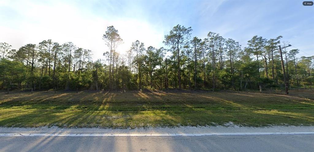 A vacant, grassy lot with a dense line of trees in the background — RIVER RANCH BOULEVARD, LAKE WALES, FL