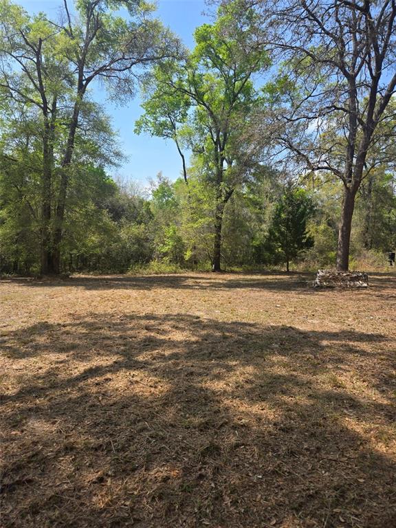 A large, cleared grassy lot is surrounded by tall, mature trees under a clear sky — 268 SW LUKE PLACE, FORT WHITE, FL